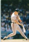 1987-93 Cal Ripken Jr. Baltimore Orioles The Sporting News Original Full Color Negative Slide (The Sporting News Collection/Mears Auction LOA) - Lot of 6