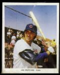 1968 Chicago Cubs Color Team Photos 7" x 8 3/4" Photo - Lot of 5
