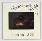 1960s Ray Nitschke Green Bay Packers vs. Colts Negative W/ Rights