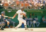 1987-94 Tony Gwynn San Diego Padres The Sporting News Original Full Color Negative Slide (The Sporting News Collection/Mears Auction LOA) - Lot of 12