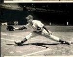 1943 Mickey Rocco Cleveland Indians "The Sporting News Collection Archives" Original 6.5" x 8.5" Photo (Sporting News Collection Hologram/MEARS Photo LOA)