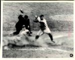 1950 Yogi Berra New York Yankees SPORT Magazine Collection Archives Modern Prints (MEARS Photo LOA) - Lot of 2