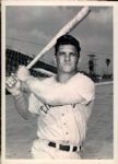 1955-57 Ted Kluszewski Cincinnati Reds "The Sporting News Collection Archives" Original Photo (Sporting News Collection Hologram/MEARS Photo LOA) - Lot of 4