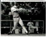 1990-91 Cal Ripken Jr. Baltimore Orioles The Sporting News Collection Archives Original Photos (Sporting News Collection Hologram/MEARS Photo LOA) - Lot of 3