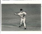 1990-91 Cal Ripken Jr. Baltimore Orioles "The Sporting News Collection Archives" Original Photos (Sporting News Collection Hologram/MEARS Photo LOA) - Lot of 3