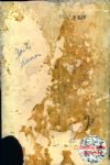 1924-28 Jack Dunn Baltimore Orioles International League The Sporting News Collection Archives Original Photos (Sporting News Collection Hologram/MEARS Photo LOA) - Lot of 2