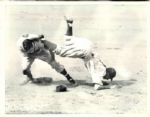 1946 Pee Wee Reese Brooklyn Dodgers 7"x 9" Modern Print Photo SPORT Magazine Collection (MEARS Photo LOA)