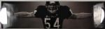 Brian Urlacher Chicago Bears Signed 19.5" x 72" Poster - MEARS LOA