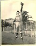 1938 Frank Demaree Chicago Cubs "The Sporting News Collection Archives" Original Photo (Sporting News Collection Hologram/MEARS Photo LOA)