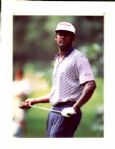 1960-90s Miscellaneous Golf The Chicago Sun-Times Archives Original Photo (Sporting News Collection Hologram/MEARS Photo LOA) - Lot of 2500