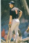 1989-94 Cal Ripken Jr. Baltimore Orioles The Sporting News Original Full Color Negative Slides (The Sporting News Collection/MEARS Auction LOA) - Lot of 12