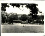 1950-95 Baseball Photography - Lot of 550