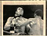 1966-71 Muhammad Ali The Chicago Sun-Times Collection Archives Original Photos (Chicago Sun-Times Hologram/MEARS Photo LOA) - Lot of 2