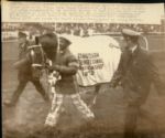1973 Triple Crown Winner Secretariat The Chicago Sun-Times Collection Archives Original Photos (Chicago Sun-Times Hologram/MEARS Photo LOA) - Lot of 8