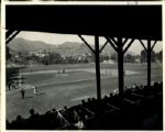 1938-40 Chicago Cubs at Spring Training in Catalina TSN Collection Archives Modern 8 x 10 Photo (Sporting News Collection Hologram/MEARS Photo LOA) - Lot of 9
