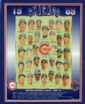 1969 Chicago Cubs Team Signed Display With 47 Signatures - JSA 
