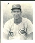 1970 Danny Godby Cincinnati Reds "The Sporting News Collection Archives" Original 4" x 5" Photo (Sporting News Collection Hologram/MEARS Photo LOA)