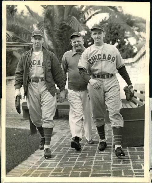1938-40 Chicago Cubs at Spring Training in Catalina "TSN Collection Archives" Modern 8" x 10" Photo (Sporting News Collection Hologram/MEARS Photo LOA) - Lot of 9