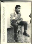 1964-87 Cassius Clay / Muhammad Ali The Chicago Sun-Times Collection Archives Original Photos (Chicago Sun-Times Hologram/MEARS Photo LOA) - Lot of 7