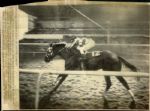 1973 Triple Crown Winner Secretariat The Chicago Sun-Times Collection Archives Original Photos (Chicago Sun-Times Hologram/MEARS Photo LOA) - Lot of 8