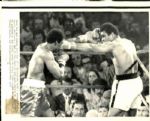 1964-77 Muhammad Ali The Chicago Sun-Times Collection Archives Original Photos (Chicago Sun-Times Hologram/MEARS Photo LOA) - Lot of 10