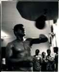 1964-87 Cassius Clay / Muhammad Ali The Chicago Sun-Times Collection Archives Original Photos (Chicago Sun-Times Hologram/MEARS Photo LOA) - Lot of 7