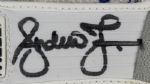 2005-2006 circa Andruw Jones Atlanta Braves Game Worn Signed Batting Gloves - MEARS LOA & JSA 