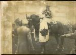 1973 Triple Crown Winner Secretariat The Chicago Sun-Times Collection Archives Original Photos (Chicago Sun-Times Hologram/MEARS Photo LOA) - Lot of 8