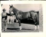 1948 Citation Racehorse "The Sporting News Collection Archives" Original 8" x 10" Photo (Sporting News Collection Hologram/MEARS Photo LOA)