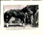 1948 Citation Racehorse "TSN Collection Archives" Original 8" x 10" Photo (Sporting News Collection Hologram/MEARS Photo LOA)