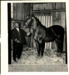 1939 Big Red Thoroughbred "The Sporting News Collection Archives" 8" x 8.75" Reprint (Sporting News Collection Hologram/MEARS Photo LOA)