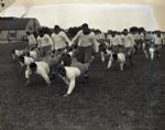 1946 Notre Dame Football Practice Chicago Sun-Times Original 4 x 5 B & W Negatives (Chicago Sun-Times Archives/MEARS Photo LOA) - Lot of 12