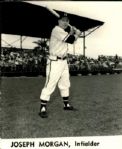 1958-59 Joe Morgan Milwaukee Braves "The Sporting News Collection Archives" Original Photos (Sporting News Collection Hologram/MEARS Photo LOA) - Lot of 2