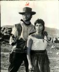 1930s to 1990s Movies with Titles B - G The Denver Post Original Photos (MEARS Photo LOA) - Lot of 1050