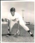 1930s to 1980s circa Miscellaneous Sports Skylines and Politics The Sporting News Collection Archives Original Photos (Sporting News Collection Hologram/MEARS Photo LOA) - Lot of 220 
