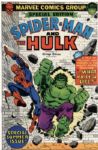 1962-82 Spider-Man and The Hulk, Silver Surfer #1, Fantastic Four Roast Marvel Comics 