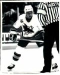 1991-96 circa San Jose Sharks The Sporting News Collection Archives Original Photo (Sporting News Collection Hologram/MEARS Photo LOA) - Lot of 43