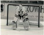 1993-96 Mighty Ducks of Anaheim The Sporting News Collection Archives Original Photo (Sporting News Collection Hologram/MEARS Photo LOA) - Lot of 33