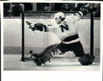 1985-95 circa Minnesota North Stars and Dallas Stars TSN Collection Archives Original Photo (Sporting News Collection Hologram/MEARS Photo LOA) - Lot of 105