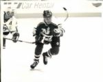 1985-95 circa Minnesota North Stars and Dallas Stars TSN Collection Archives Original Photo (Sporting News Collection Hologram/MEARS Photo LOA) - Lot of 105