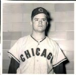 1961 Jack Curtis Chicago Cubs "The Sporting News Collection Archives" Original 8" x 8" Photo (Sporting News Collection Hologram/MEARS Photo LOA)