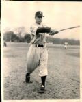 1949-55 Oliver Cheso San Francisco Seals PCL "The Sporting News Collection Archives" Original 8" x 10" Photo (Sporting News Collection Hologram/MEARS Photo LOA)