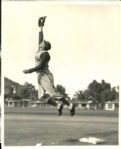 1938-61 Phil Cavarretta Chicago Cubs Chicago White Sox Detroit Tigers The Sporting News Collection Archives Original Photos (Sporting News Collection Hologram/MEARS Photo LOA) - Lot of 6
