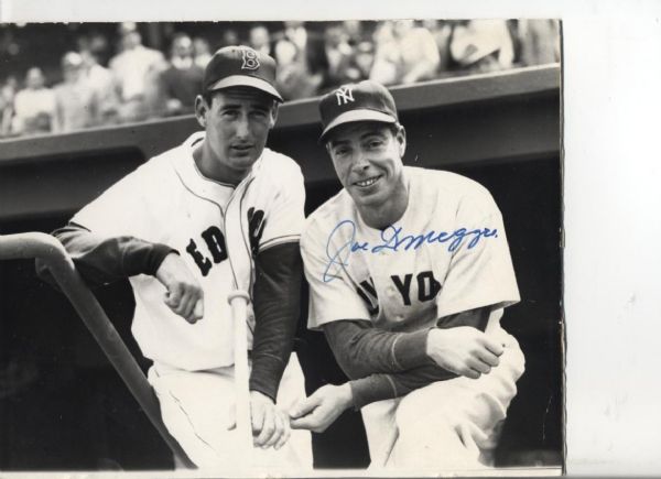 1978  Joe DiMaggio New York Yankees Signed 8" x 10" Photo With Ted Williams Photographer Stamp on Back - JSA 