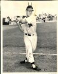 1949-51 Herb Gorman Hollywood Stars PCL "The Sporting News Collection Archives" Original Photo (Sporting News Collection Hologram/MEARS Photo LOA)