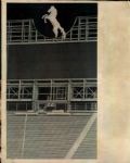1960s to 1990s Denver Broncos' Fans and Stadium Denver Post Original Type 1 Photos (MEARS Type 1 Photo LOA) - Lot of 500