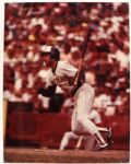Paul Molitor Milwaukee Brewers 11" x 14" Photo