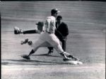 1969-80 Willie McCovey San Francisco Giants San Diego Padres The Sporting News Collection Archives Original Photo (Sporting News Collection Hologram/MEARS Photo LOA) - Lot of 25