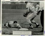 1958-71 Edd Roush Milwaukee Braves "The Sporting News Collection Archives" Original Photo (Sporting News Collection Hologram/MEARS Photo LOA) - Lot of 4
