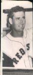 1949-69 Ted Williams Boston Red Sox The Chicago Sun-Times Collection Archives Original Photos (Chicago Sun-Times Hologram/MEARS Photo LOA) - Lot of 12